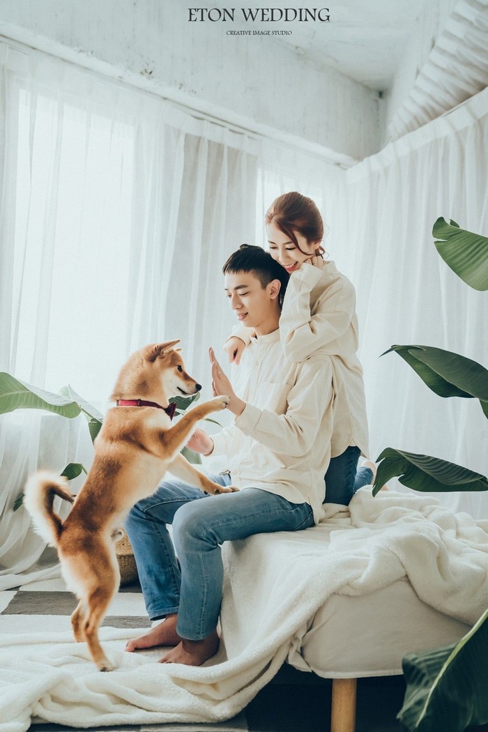 寵物寫真,寵物攝影,寵物照,毛孩照,紀念照